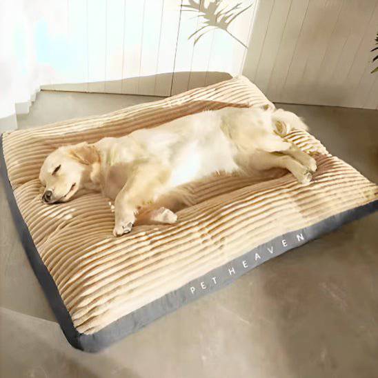 Coussin déhoussable pour chien NicheFélix™Kaki - Housse de canapé